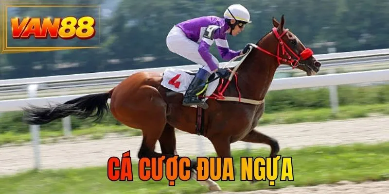 Cá Cược Đua Ngựa - Đường Đua Kịch Tính, Hấp Dẫn Tại VAN88