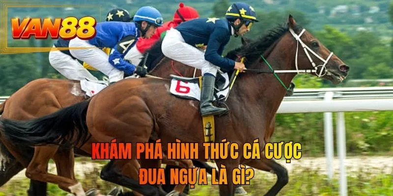 Khám phá hình thức cá cược đua ngựa là gì?
