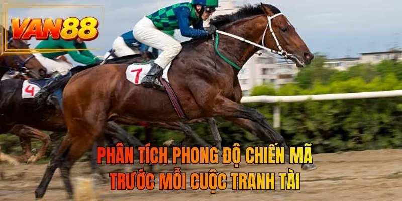Phân tích phong độ chiến mã trước mỗi cuộc tranh tài